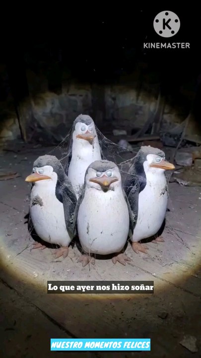 nuestros felices recuerdos