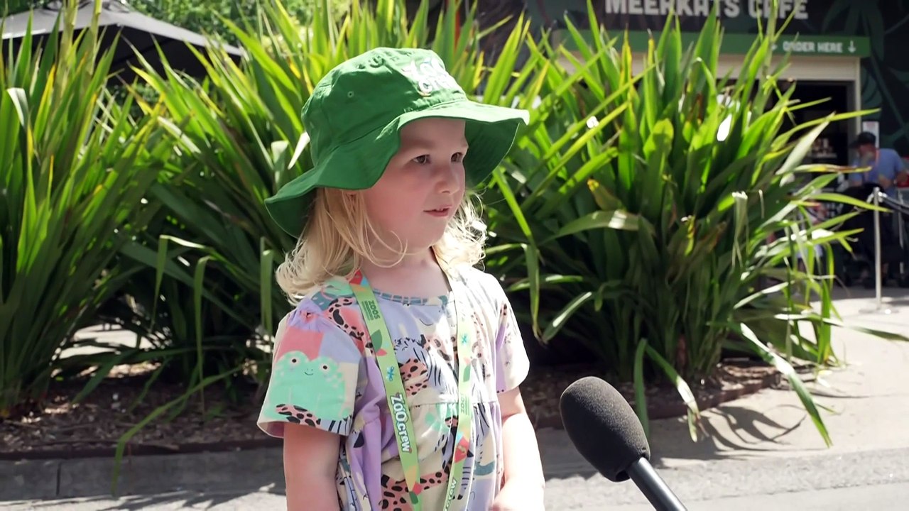 Regional Victoria continues to struggle through bushfires as state swelters in heatwave