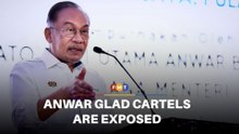 I’m glad cartels are being exposed, says Anwar