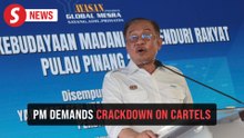 PM Anwar calls for end to cartels that burden the people