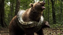 Bear Caught by a Python in Deep Jungle | Emergency Wildlife Rescue Mission (AI)