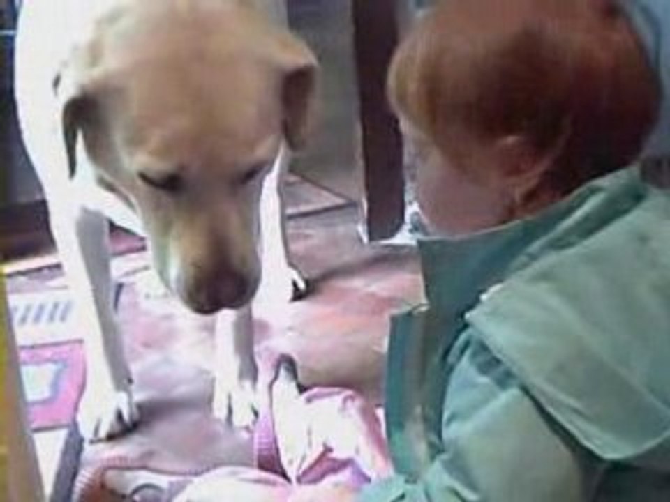 Un vrai rayon de soleil