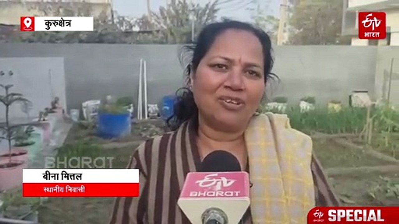 टीचर की नौकरी छोड़ कर रही स्ट्रीट डॉग्स की सेवा, तीन बहनों ने कुरुक्षेत्र में बनाया होम शेल्टर, हजारों कुत्तों का कर चुकी इलाज