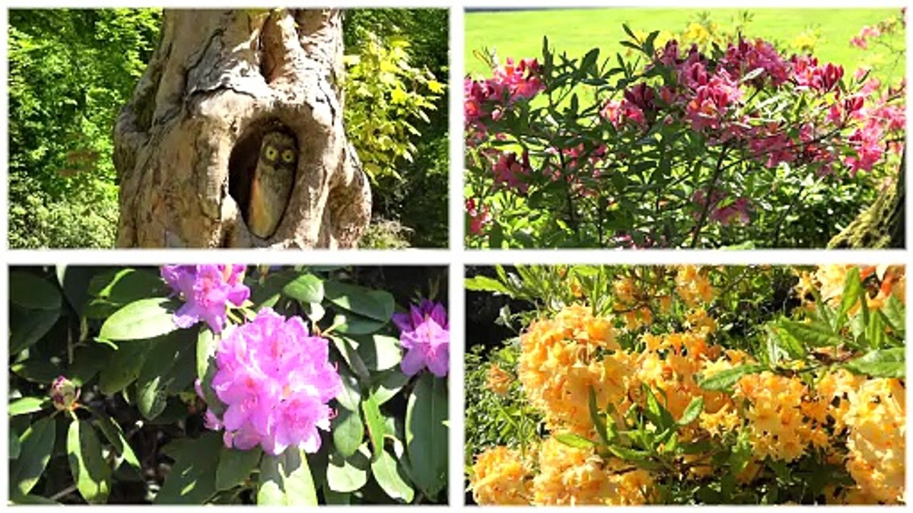 Wanderung im Vorwerkpark in Barmen