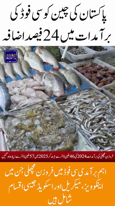 Pakistan’s Seafood Exports to China Rise by 24%