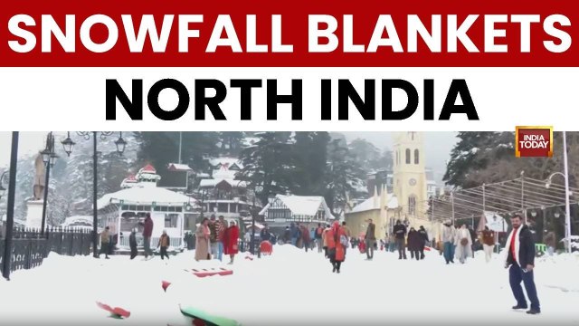 North India Snowfall: Shimla and Manali Turn Into Winter Wonderlands as Temperatures Dip