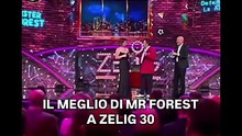 Zelig cabaret