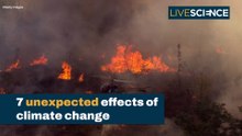 Unexpected Side Effects Of Climate Change