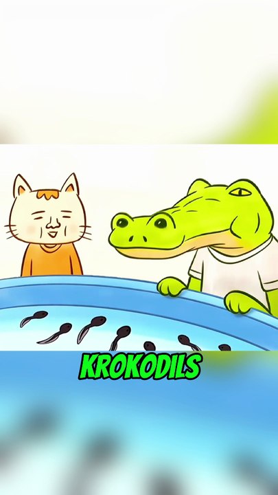 Surreale Tierwelt #animation #movie  #shorts