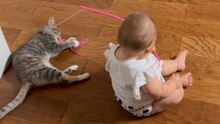 Playful cat tries catching a toy as toddler keeps the game going with energy