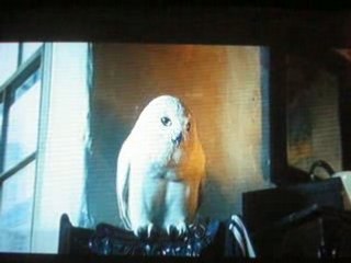 Harry Potter et le Prisonnier d'Azkaban