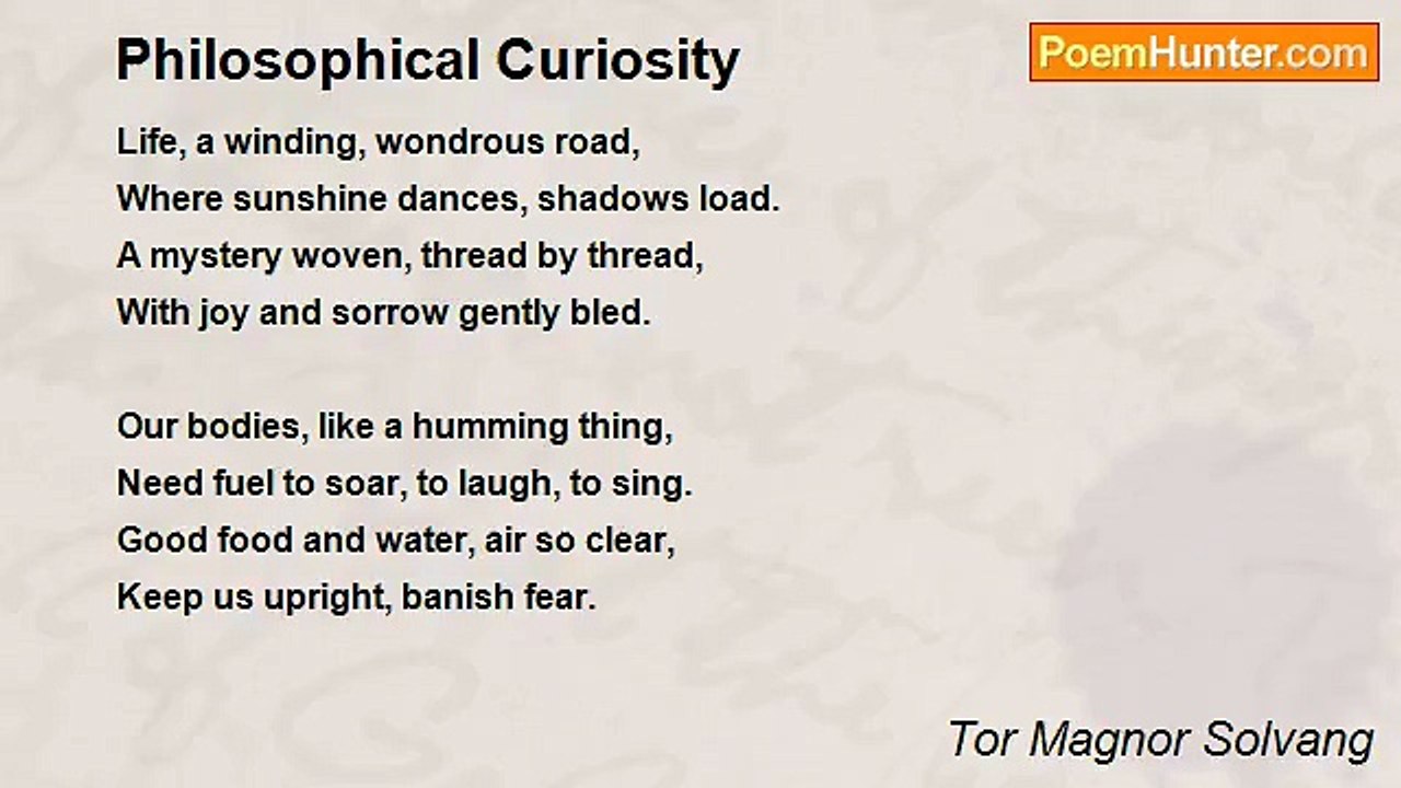 Tor Magnor Solvang - Philosophical Curiosity