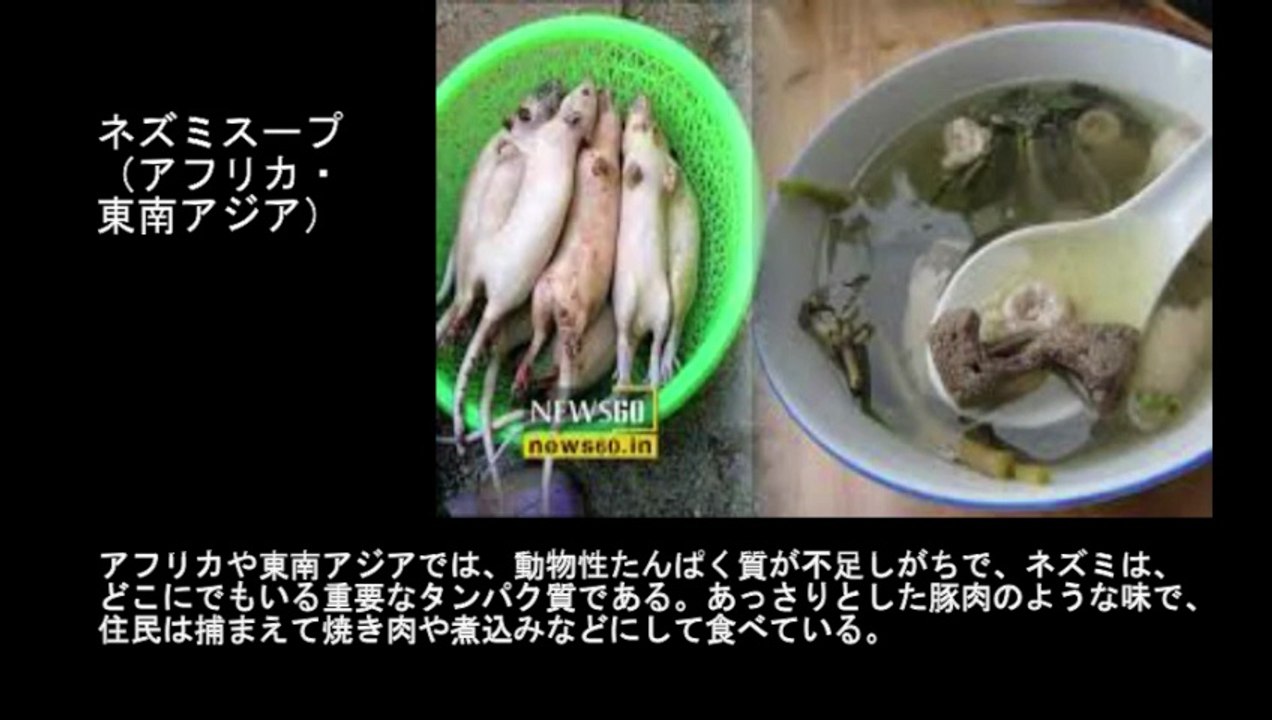 【豆知識】世界ゲテモノスープ 10品　【Trivia News】10 of the World's Strangest Soups