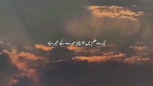 islamic short video islamic quotes