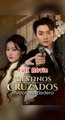 [Español] Destinos Cruzados, Amor Verdadero (Versión original completa)
