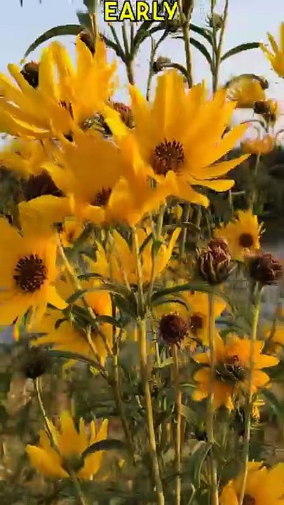 Ancient China: 5 Mind-Blowing Facts You Didn’t Know! ,The Secrets of Ancient China Revealed in 60sec