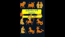 మహిళల రాశి ఫలాలు మీనం   2026