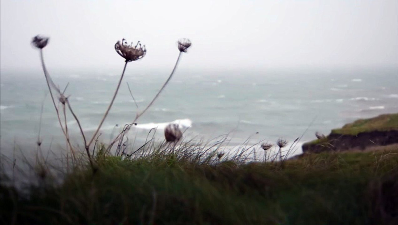 Heavy rain and high winds to continue as Storm Ingrid batters parts of the UK