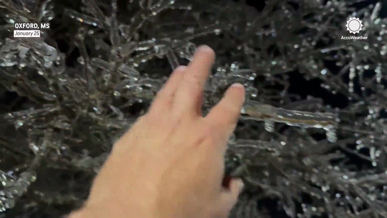 Trees, roads coated in ice in Mississippi