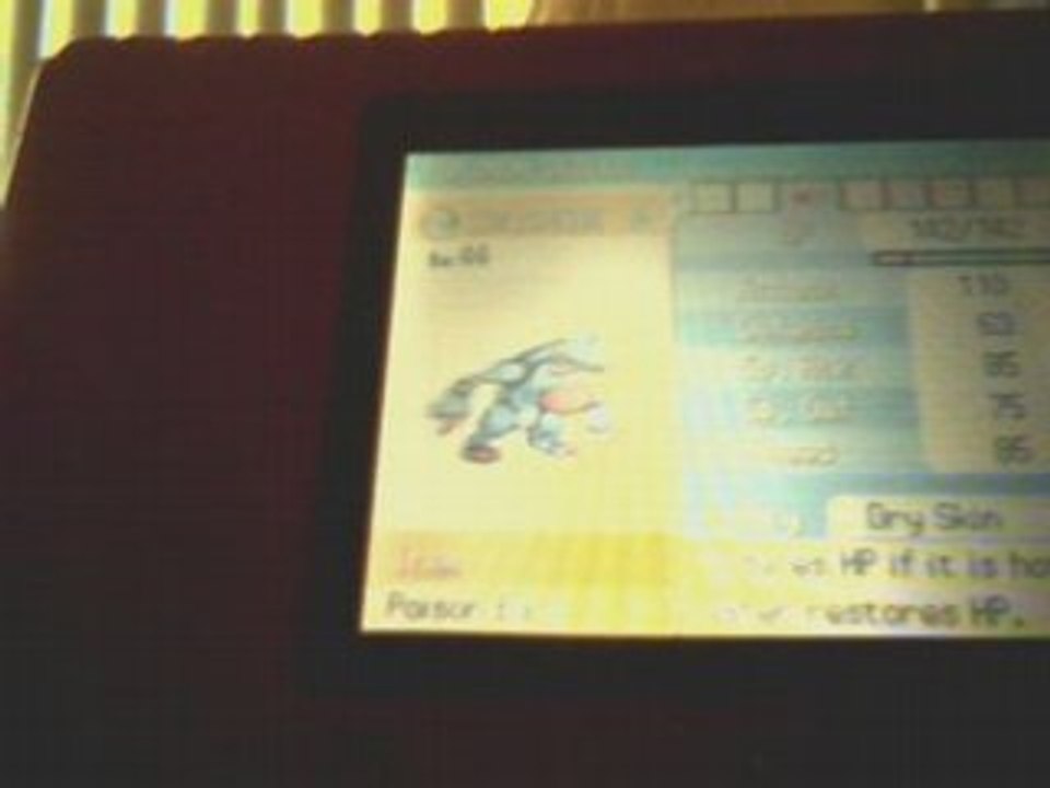 My Pokemon