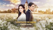 EspañOl Contrato De Amor Caducado PelíCula Completa