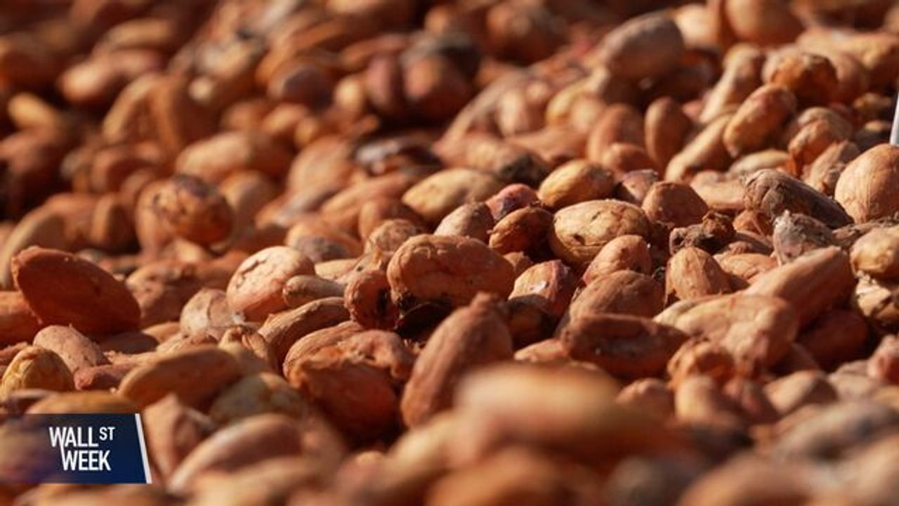 Ecuador's Cocoa Boom Shows How Climate Change Is Redrawing Agriculture