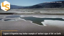 Discovery Of Lagoon In Argentina That Could Provide 'Earliest Signs Of Life' On Earth