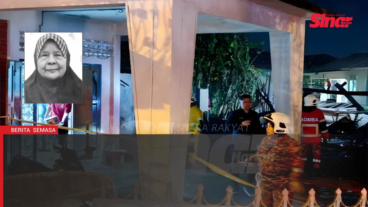 "Saya kehilangan ibu angkat, 70 ekor kucing dan lima anjing sekelip mata".