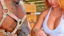 Animals That Form Bonds With Humans 🥰
