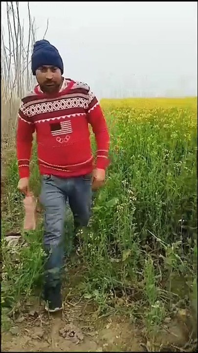 देखा आपने लापरवाही का नतीजा | funny video | Shorts