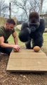 Real Strength Test Man vs Gorilla Coconut Challenge