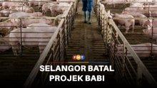 Selangor batal projek babi Bukit Tagar