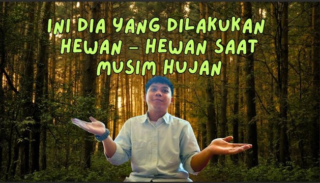 Hal yang Dilakukan Hewan Saat Musim Hujan-Serius Ini Hewan?