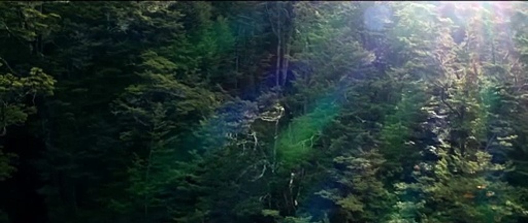 Wolf Man - Teaser Trailer (English) HD