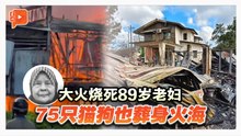 住家失火烧死89岁老妇 75只猫狗也葬身火海
