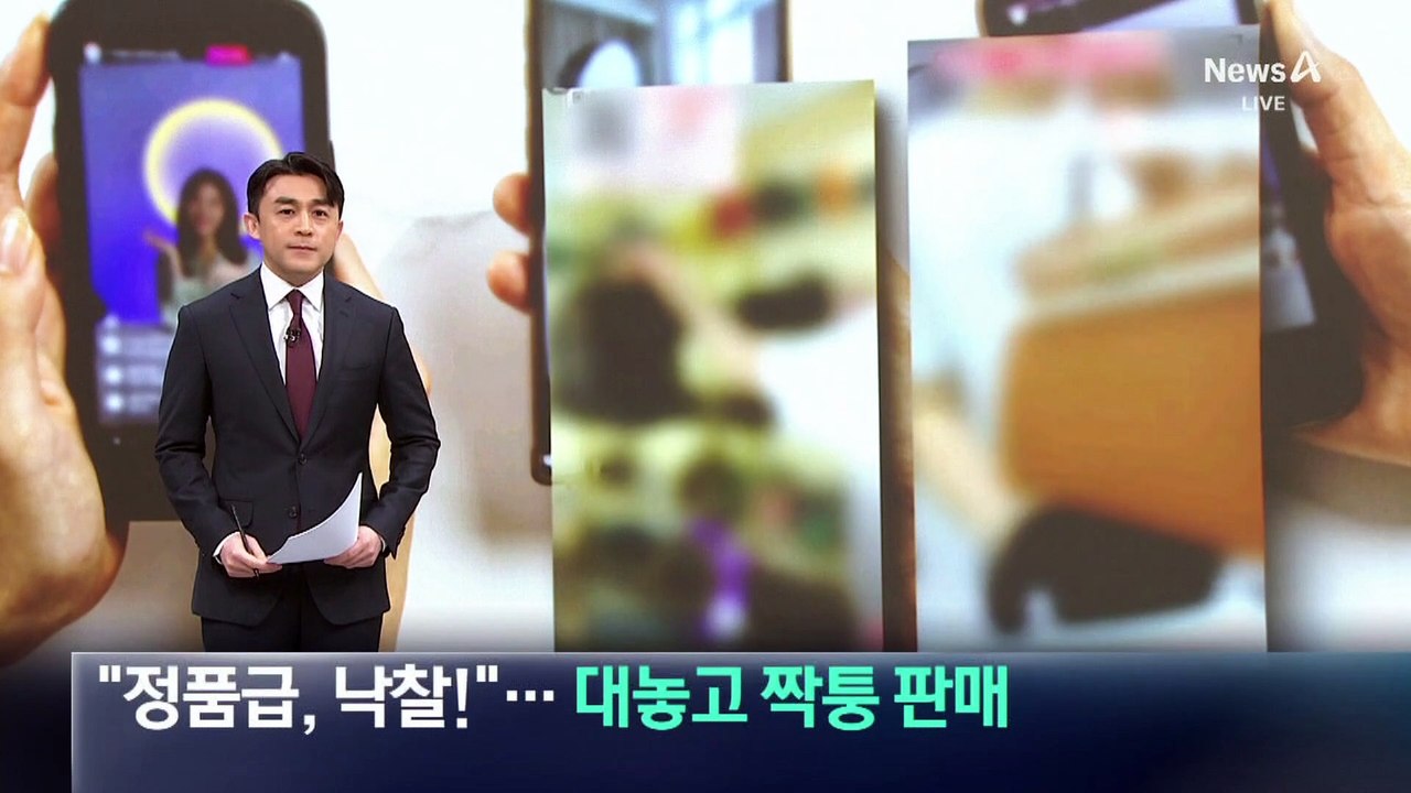 “정품급, 낙찰”…대놓고 짝퉁 판매