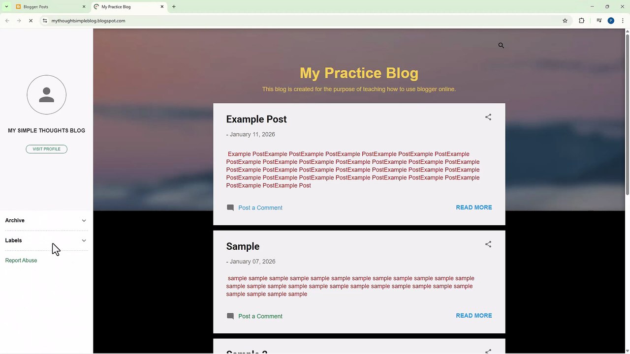 Blogger 33 Changing Visibility to Search Engines