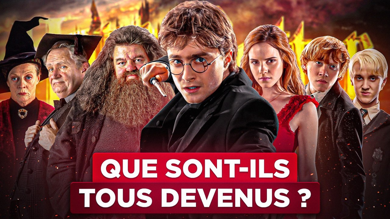 Que sont DEVENUS tous les PERSONNAGES D'HARRY POTTER après LA GUERRE ?