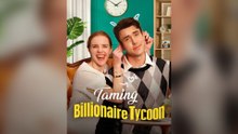 Taming The Billionaire Tycoon Full Episodes