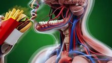 Fast Food vs Your Body | Inside the Human System (3D Animation)