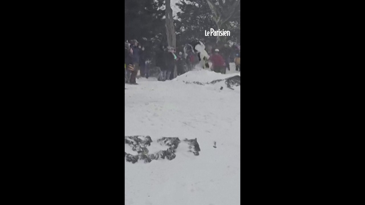 Tempête de neige : le champion olympique Shaun White surfe à Central Park