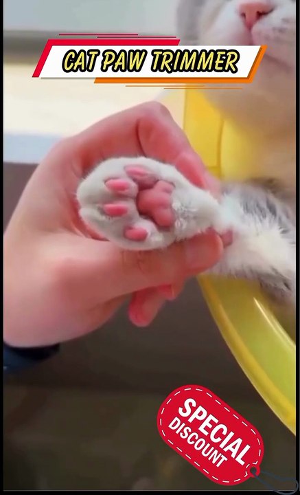 Pet paw trimmer 🐾