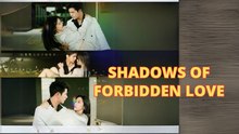 Shadow Of Forbidden Love