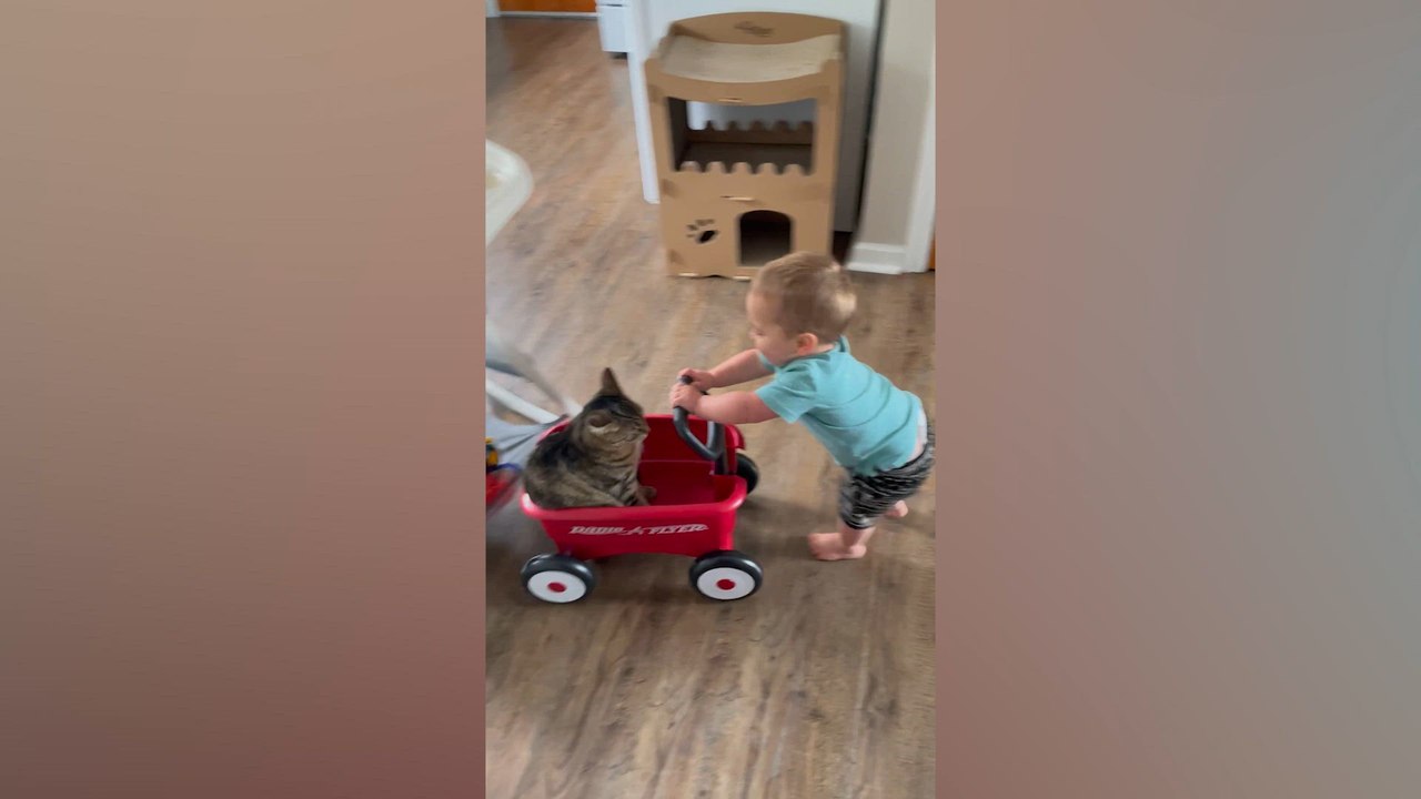Tiny Humans, Furry Friends