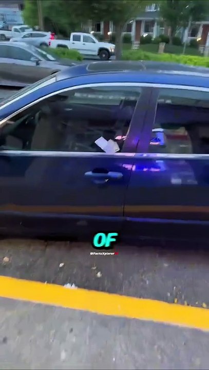 #viral #facts #shorts #reels #english #unitedstates #real #trendingnow #trending #animals #t (4)