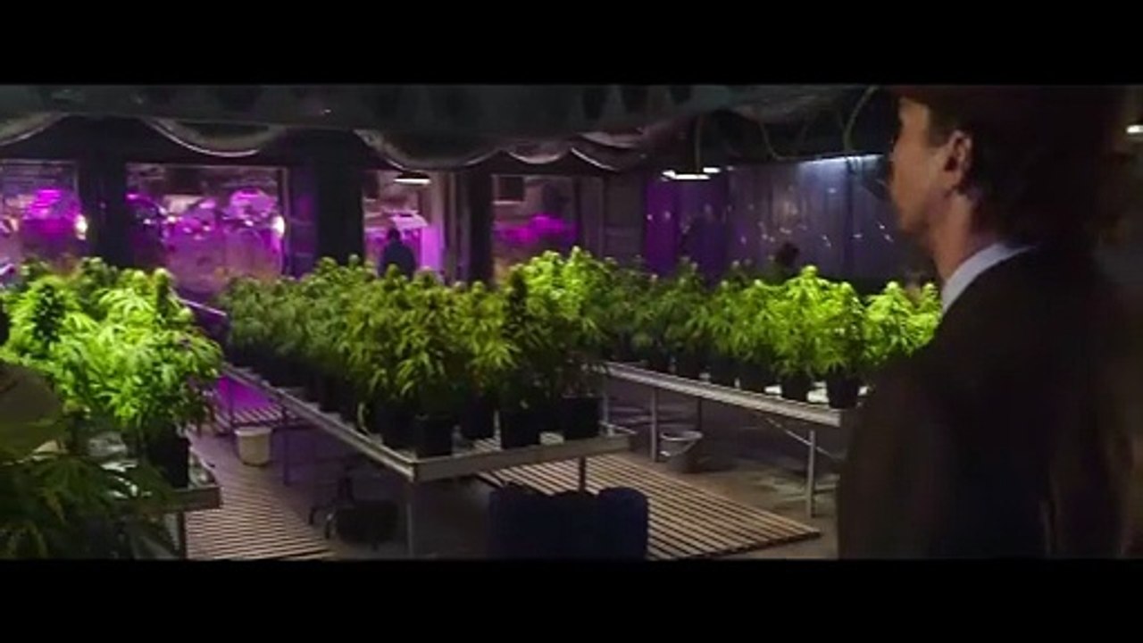 The Gentlemen Trailer DF