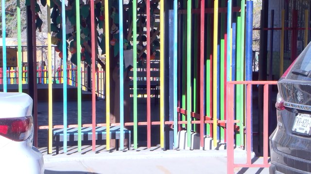 El sector ganadero del norte de México enfrenta una nueva crisis tras confirmarse un caso de gusano barrenador en Tamaulipas. Este hallazgo ha paralizado las expectativas de reapertura fronteriza para la exportación, afectando directamente la economía de