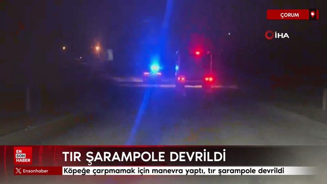 Çorum'da köpeğe çarpmamak için manevra yaptı, tır şarampole devrildi