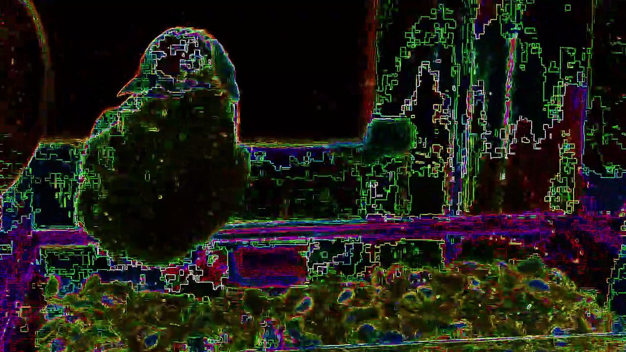 Kansas City, Missouri Snowstorm - January 24, 2026 - Synthesized