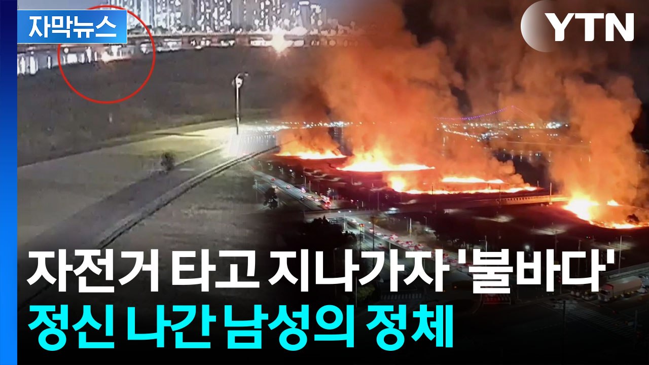 [자막뉴스] 남성 지나가자 치솟는 불기둥...억새밭 잿더미 만들고 '자백' / YTN